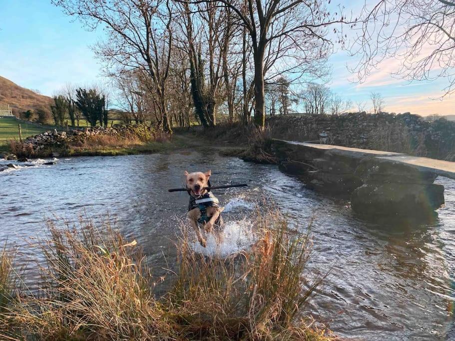 Charming Dog-Friendly Yorkshire Dales Cottage, Austwick מראה חיצוני תמונה