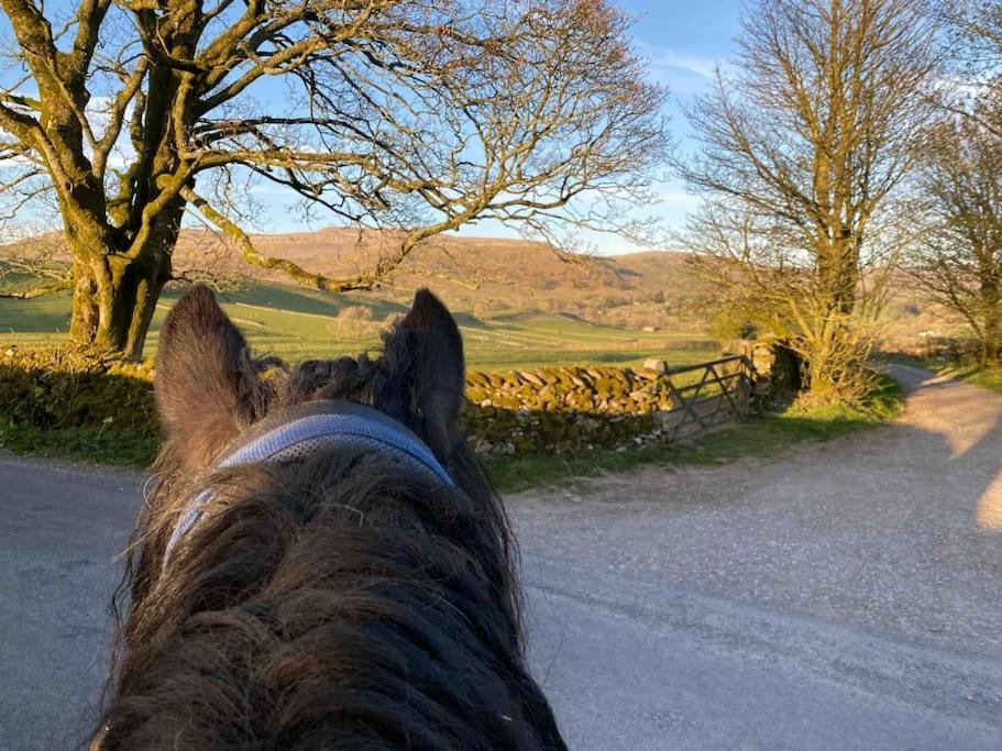 Charming Dog-Friendly Yorkshire Dales Cottage, Austwick מראה חיצוני תמונה